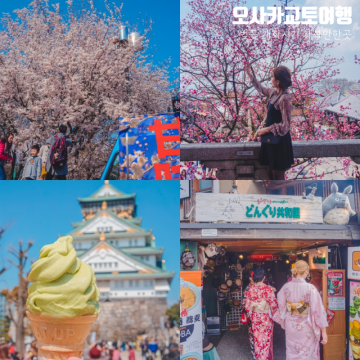 일본 오사카 교토 여행 벚꽃 개화시기 가볼만한곳