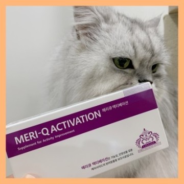 고양이 치매 영양제, 고양이 항산화제 메리큐 액티베이션
