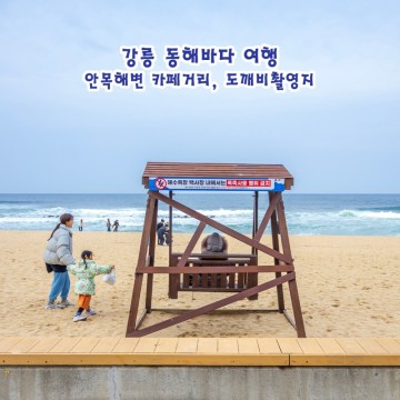 강릉 동해바다 여행 안목해변 카페거리 영진해변 도깨비촬영지