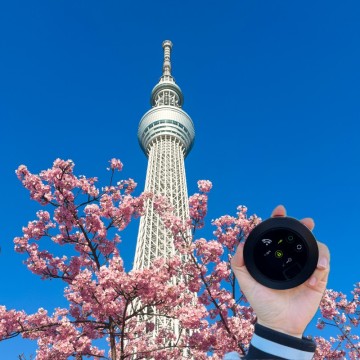 일본 포켓와이파이 도시락 대여 할인 추천, 이심 비교 (도쿄 오사카 후쿠오카)