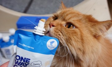 어바웃펫 고양이간식 음수량 올려주는 근본 캣무스 고양이파우치