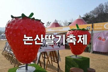 논산딸기축제 기본정보 헬기 가수 논산시민공원