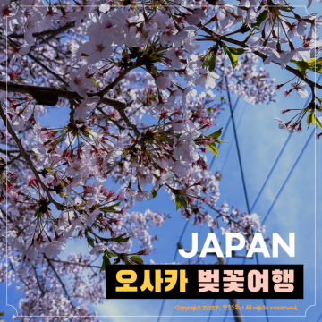 2024 일본 벚꽃 개화시기 오사카 벚꽃여행 명소 숙소 항공권 특가