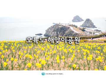 3월 부산 꽃구경 오륙도 수선화 해맞이공원 스카이워크