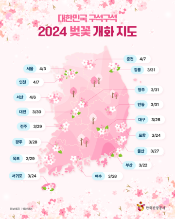 2024년 벚꽃 만개정보 및 벚꽃명소 추천!