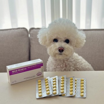 강아지 치매증상 항산화제 메리큐 액티베이션 애견영양제