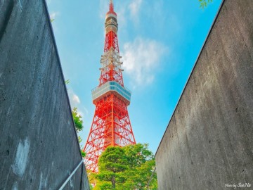 일본 도쿄타워 전망대 입장료 사진 스팟 5곳 정보
