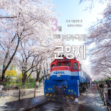 2024 벚꽃 개화시기 제62회 진해 군항제 벚꽃여행 사진 명소들