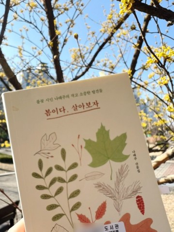 산문책 추천 | 봄이다 살아보자 | 풀꽃 시인 나태주