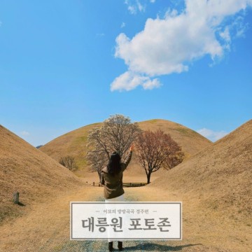 경주 대릉원 주차장 목련 포토존 명소 야간 후문