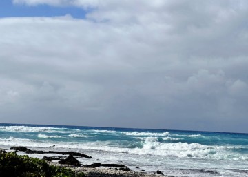하와이 여행 빅아일랜드 숙소 4곳 솔직한 리뷰와 비교