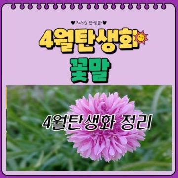 4월 탄생화 꽃말(1일~30일) 예쁜꽃말 사랑꽃말 정리