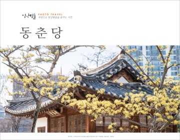 3월 봄에 대전 가볼만한곳 동춘당 공원 대전 데이트 코스 추천