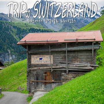 스위스 여행 알프스 하이킹 뮈렌에서 김멜발트 가는 트레킹코스