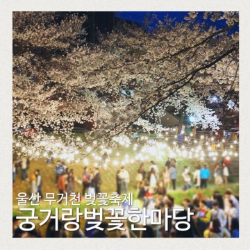 울산 벚꽃 명소 무거천에서 개최되는 2024 궁거랑벚꽃한마당 기본정보