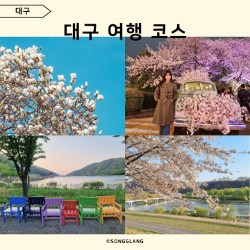 대구 여행 코스 국내 뚜벅이 봄 여행지 4월 꽃구경 가볼만한곳 7