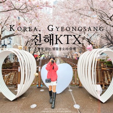 진해군항제 벚꽃 보러 1박2일 기차 뚜벅이 국내여행, 서울역에서 창원중앙역(진해) KTX