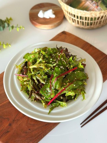 어린잎채소 겉절이 만드는 법 샐러드용 야채요리 레시피 간단반찬메뉴 집반찬 만들기