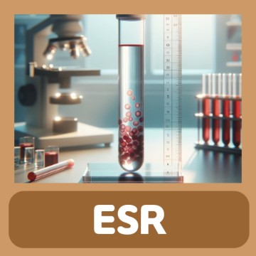 ESR 정상수치 적혈구침강속도 수치
