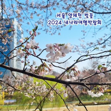 서울 양재천 벚꽃 축제와 2024 내나라여행박람회
