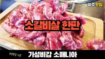 가성비 있는 참숯 소갈비살 구이 전문점 파주 맛집 소매니아 Korean Barbecue Restaurant