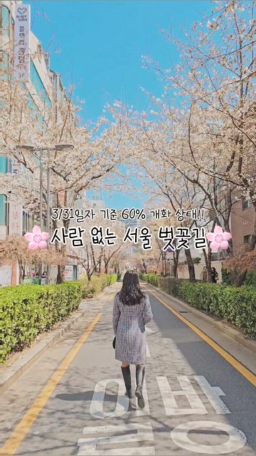🏷️사람들 잘 모르는 서울 벚꽃길 어디냐면...

사람 별로 없는 서울 벚꽃길 소개해 드릴게요🌸
3/31일자 기준약 50~60% 정도만 개화한 상태!
4월 초면 여기 정말 엄청날 예정이에요.... 🫢🫢
⠀
심지어 주말인데 벚꽃 구경하러 온
사람들도 거의 없어서 여유롭게 찍을 수 있었어요!
⠀
4월 초 정도에 만개할 예정이니
꼬옥 가서 인생샷 남기세요📷

✅️ 일방통행 길이니 횡단보도
초록불 켜졌을 때 사진 찍기!

📍 성신여대 입구에서 성북천으로 향하는 로데오거리

#하이라이트챌린지 #서울벚꽃명소 #숨은벚꽃명소
