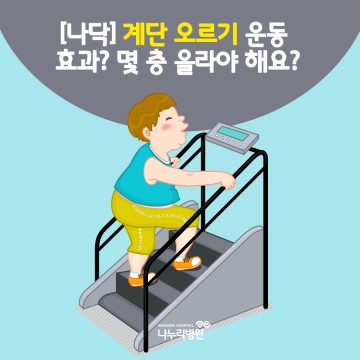 [나닥] 계단 오르기 운동 
 효과? 몇 층 올라야 해요?