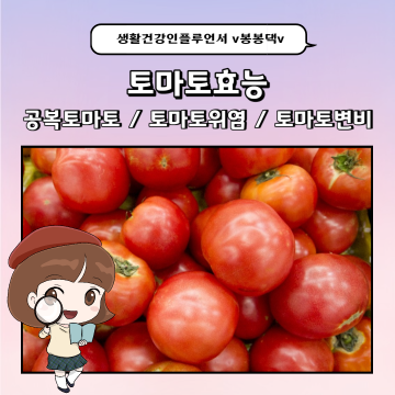 토마토효능 / 공복토마토 / 토마토위염 / 
토마토변비