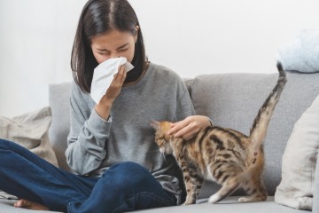 고양이 털 알레르기 원인과 관리법 – 자주 환기하고 청소하는 게 중요해요!